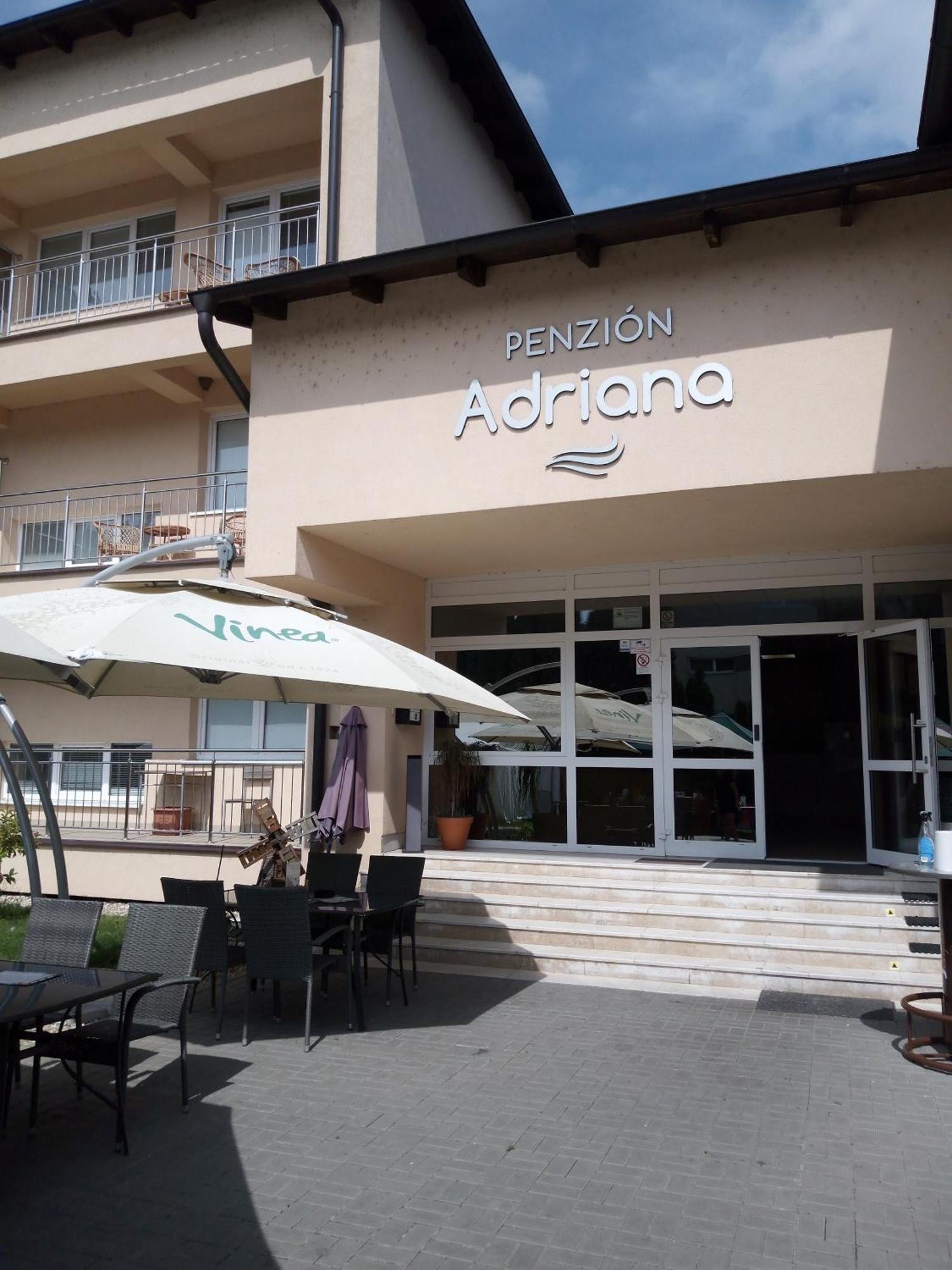 Penzion Adriana Nové Mesto nad Váhom Kültér fotó